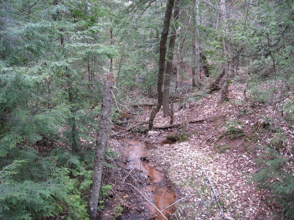 Mackinaw Island Area May 2008 1045.jpg - May 24 2008 a trip to Mackinac City for a 5 M race and a visit to Mackinac Island. A day to the UP, Paradise, Whitefish Point and Tahquamen Falls. This was followed by trips to Petoskey and Charlevoix.